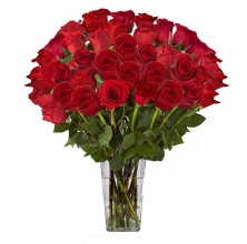Red Perfection - 36 Stems Vase